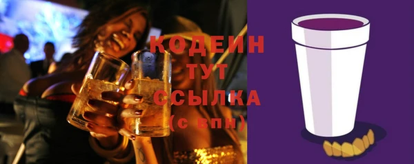 эйфоретик Алзамай