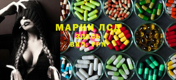 эйфоретик Алзамай