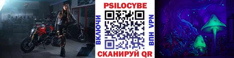 сколько стоит  Новомичуринск  mega   Галлюциногенные грибы Cubensis 
